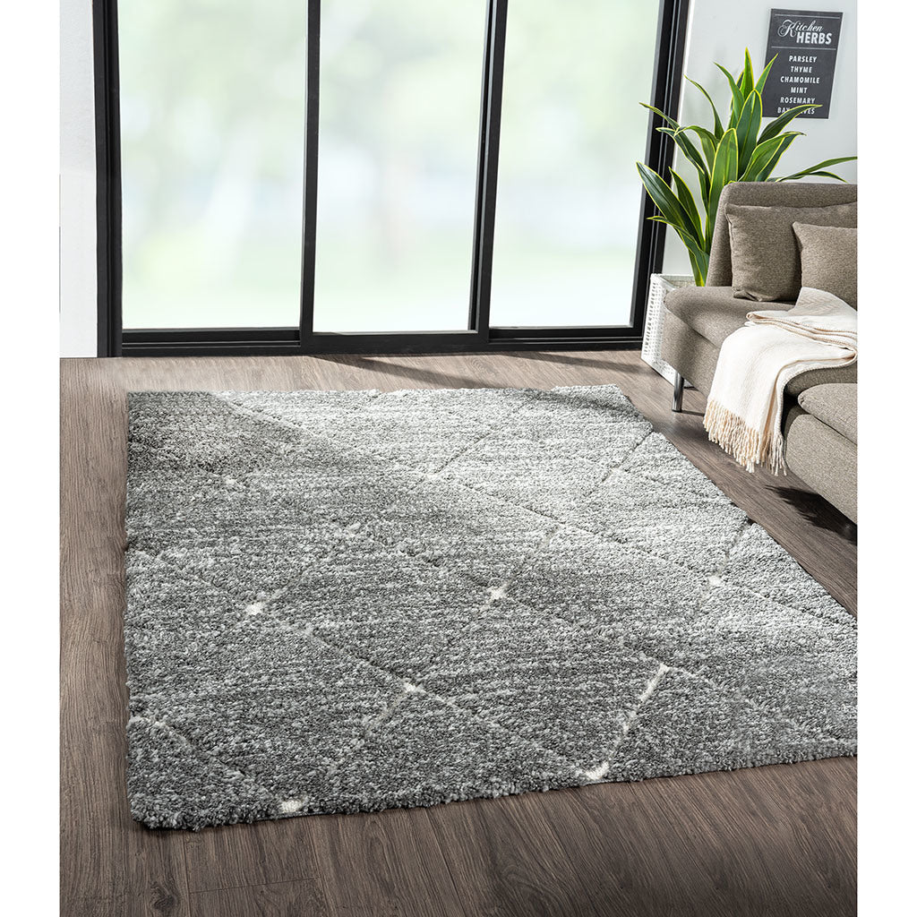 Talas Trellis Area Rug in Grey and Cream 8x10'